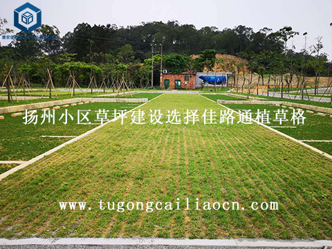 扬州小区草坪建设选择佳路通植草格